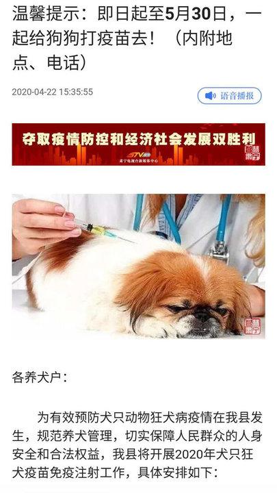 冀云肃宁客户端下载,冀云肃宁,新闻app,肃宁app